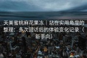 天美蜜桃麻花果冻｜站在实用角度的整理：多次回访后的体验变化记录（新手向）