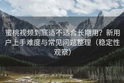 蜜桃视频到底适不适合长期用？新用户上手难度与常见问题整理（稳定性观察）