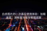 白虎图片的一次真实使用体验：加载速度、清晰度与缓存策略观察