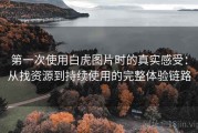 第一次使用白虎图片时的真实感受：从找资源到持续使用的完整体验链路