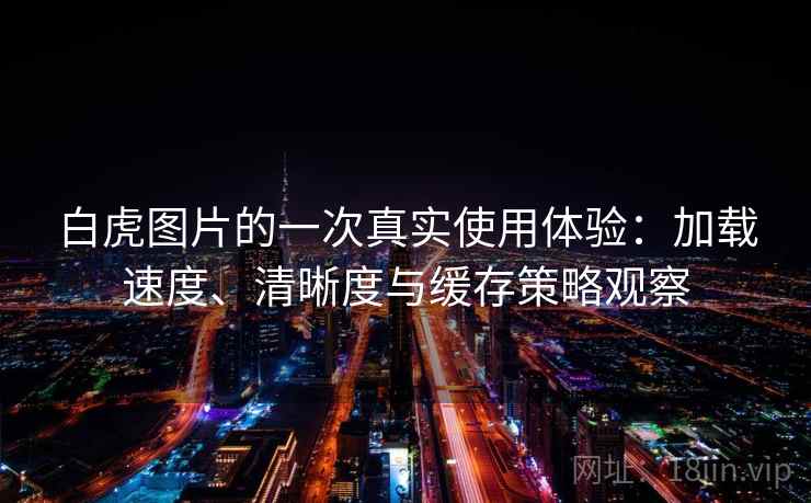 白虎图片的一次真实使用体验：加载速度、清晰度与缓存策略观察