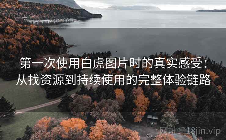 第一次使用白虎图片时的真实感受：从找资源到持续使用的完整体验链路