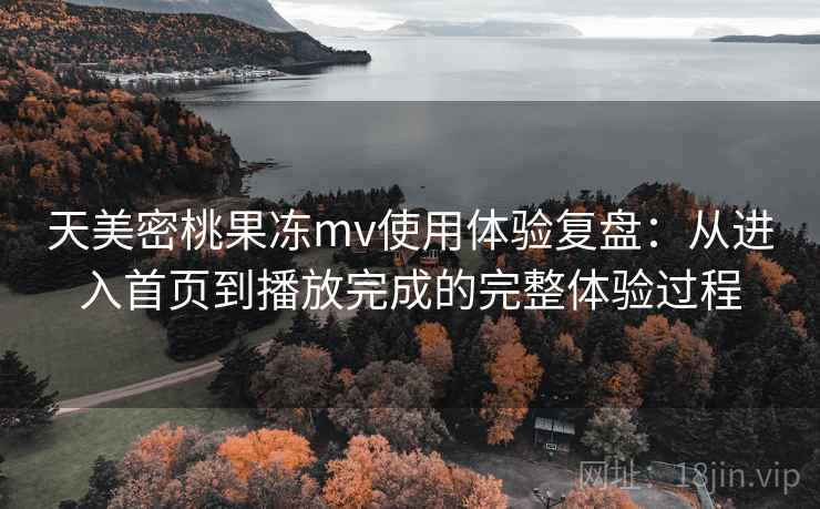 天美密桃果冻mv使用体验复盘：从进入首页到播放完成的完整体验过程