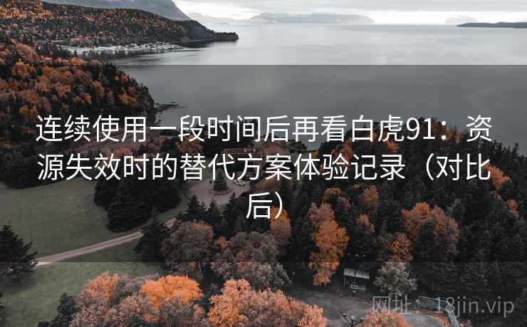 连续使用一段时间后再看白虎91：资源失效时的替代方案体验记录（对比后）