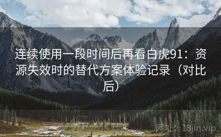 连续使用一段时间后再看白虎91：资源失效时的替代方案体验记录（对比后）